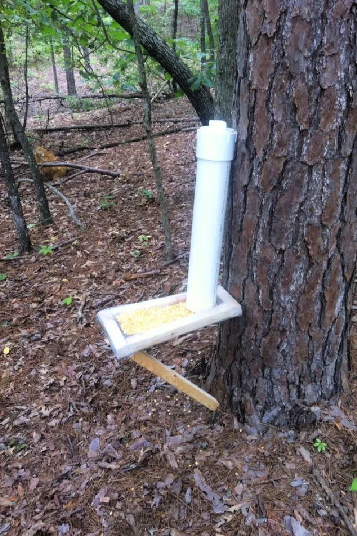 DIY Deer Corn Feeder for Hunting
