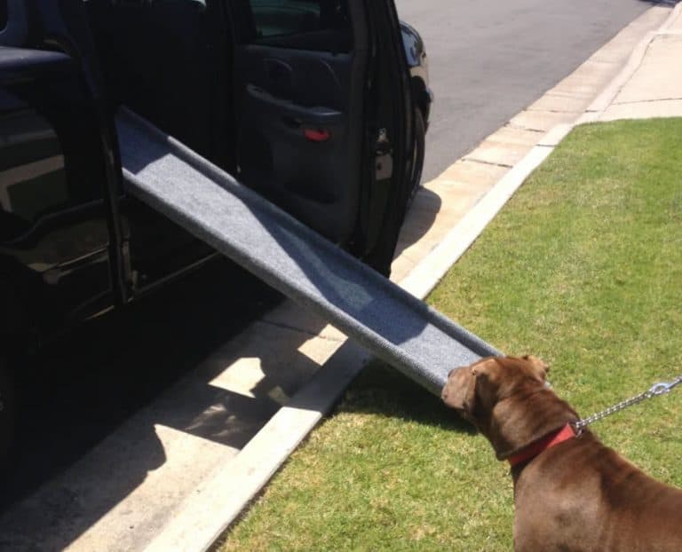 DIY Foldable Pet Ramp