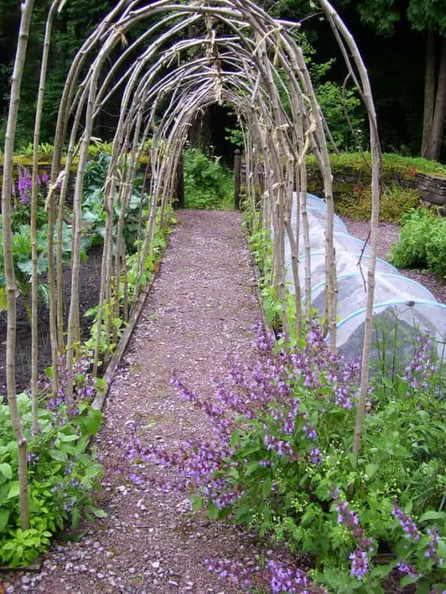 24 DIY Pea Trellis Designs for Vertical Growing