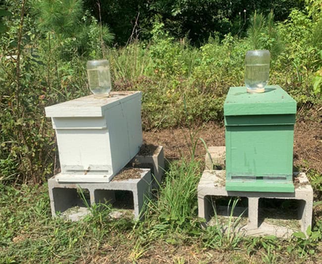 DIY Hive Top Feeder Plan
