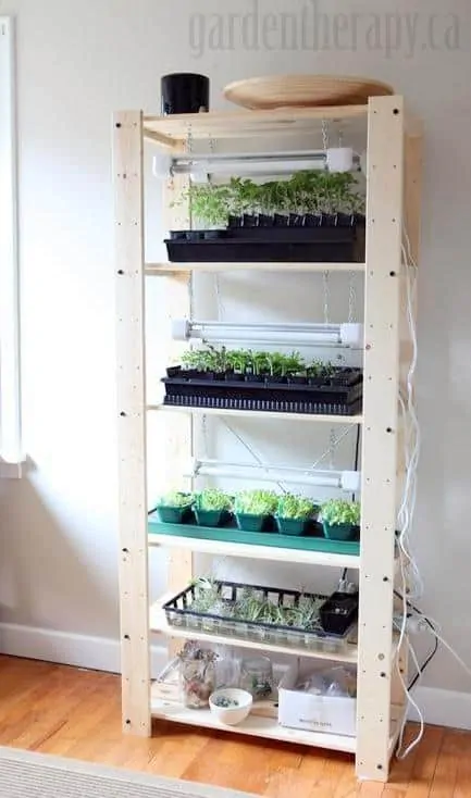 DIY Indoor Greenhouse with Grow Light