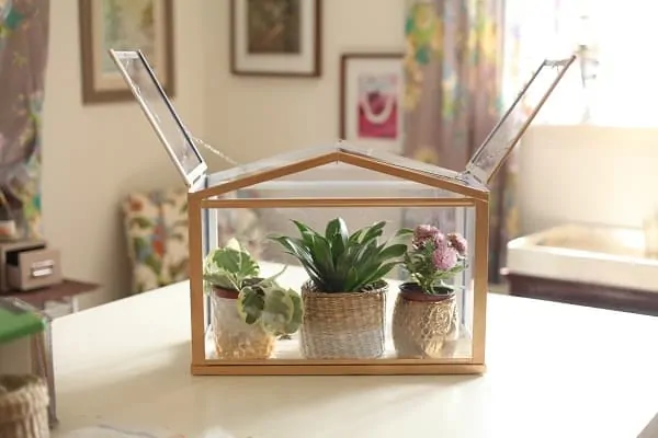 DIY Mini Elegant Indoor Greenhouse