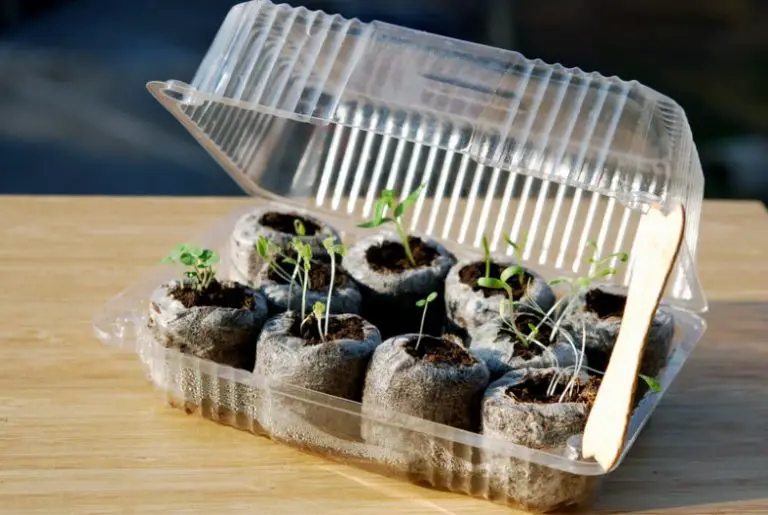 DIY Mini Low-Cost Indoor Greenhouse