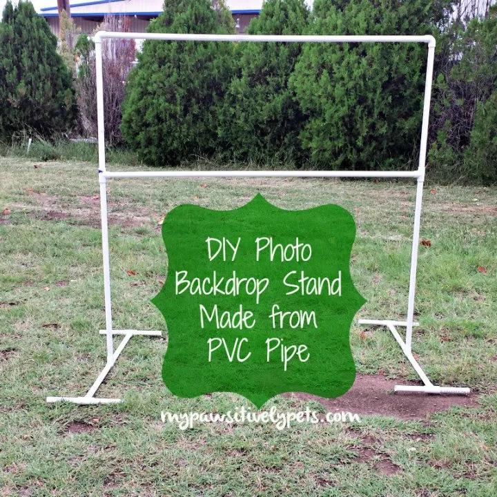 DIY Photo Backdrop Stand for Pet Photography