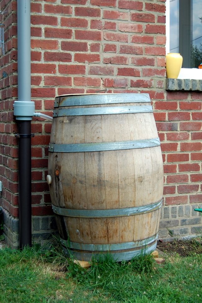 DIY Rain Barrel System Using a Wine Barrel