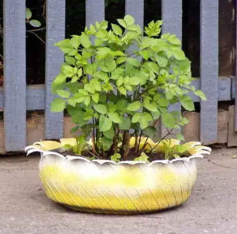 DIY Recycled Tire Planters