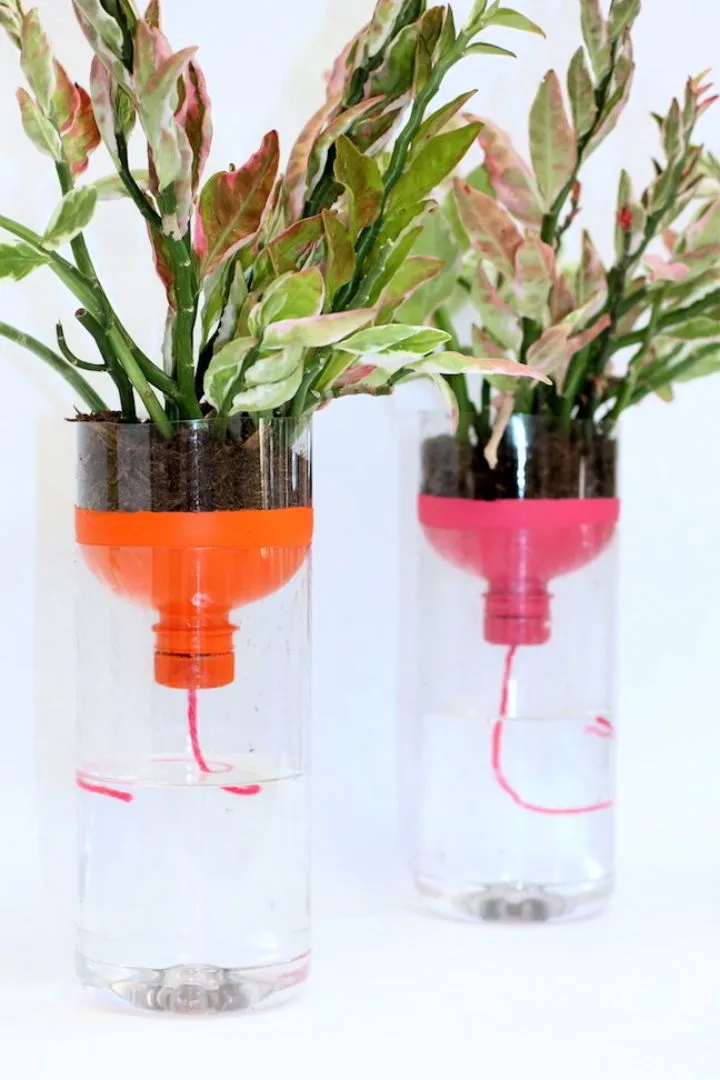 DIY Self Watering Plastic Bottle Planters