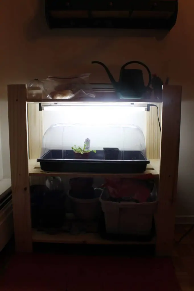 35 Innovative DIY Indoor Greenhouse Ideas for Growing Fresh Herbs