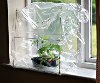 DIY Small Indoor Greenhouse