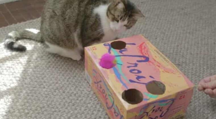 DIY Soda Box by Cuteness