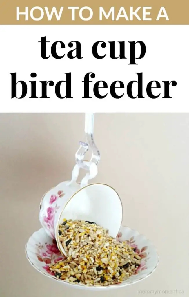 DIY Tea Cup Bird Feeder Mommy Moment