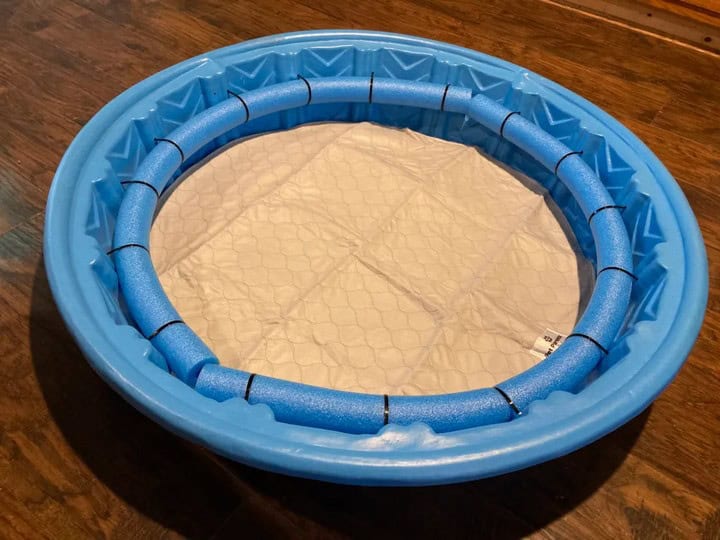 17 Affordable DIY Whelping Box Solutions for Pet Owners