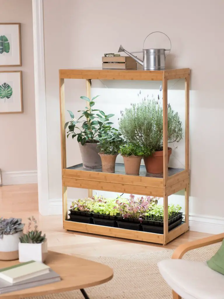 DIY Wooden Indoor Greenhouse