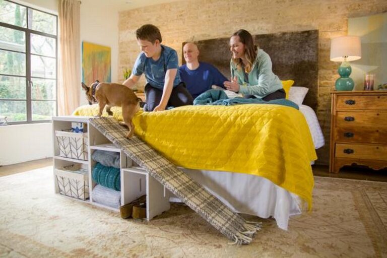 Doggie Bed Ramp with Clever Storage