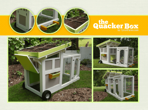 Duck House Plans With Nesting Area and Run