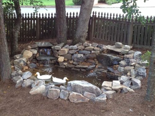 17 Charming DIY Duck Pond Ideas for Your Backyard