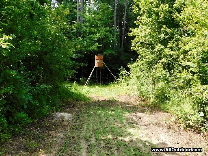 Easy DIY Deer Feeder