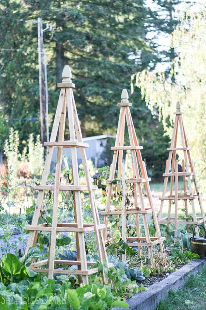 Farmhouse Country Style Wood Trellis Obelisk Ideas