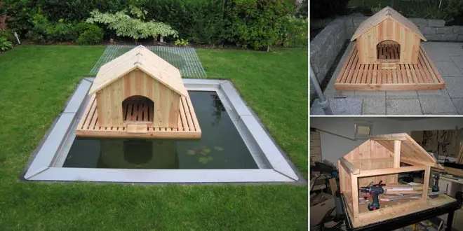 Floating Duck House