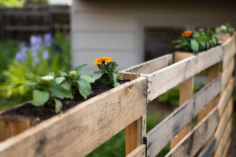 Garden Bed on a Pallet Fence
