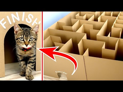 Giant Maze Labyrinth by EverXFun