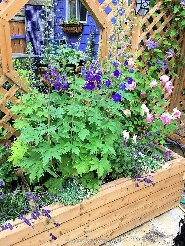 Handmade Large Planter Box