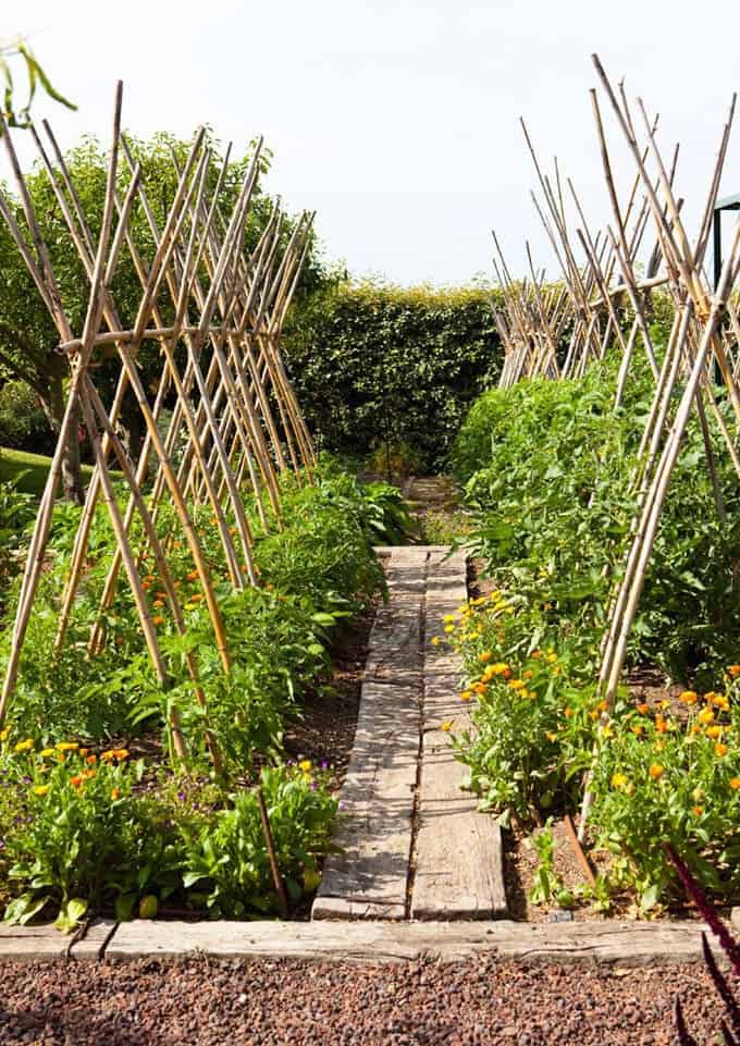 How to Build a Bamboo Garden Trellis