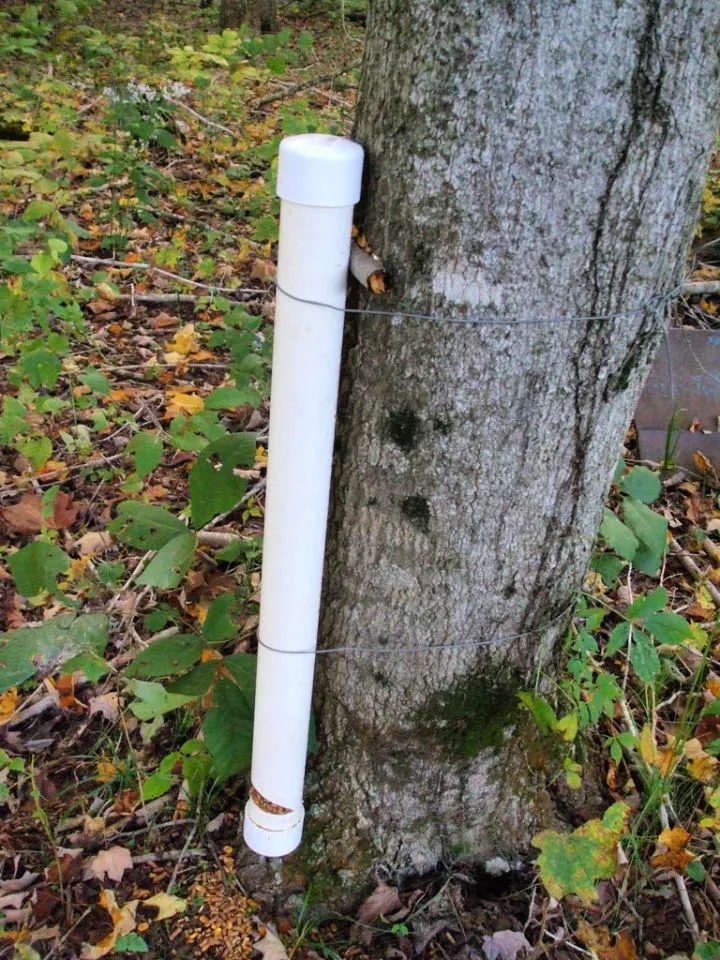 How to Make a Deer Feeder