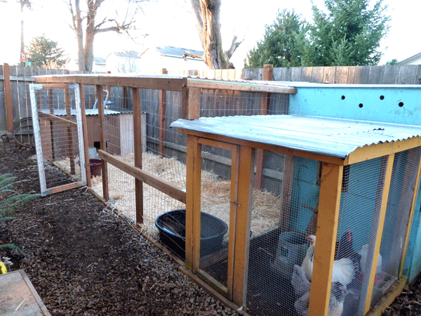 Large Duck House Plans