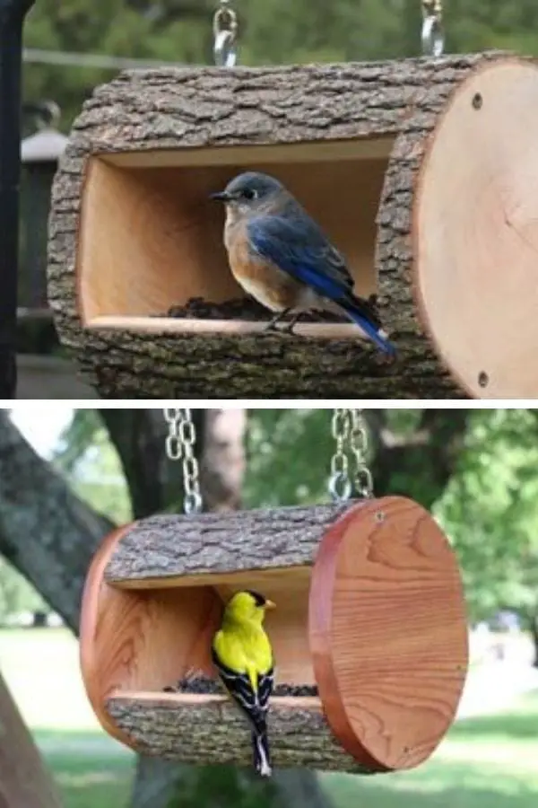 Log Bird Feeder Sun Catcher Studio