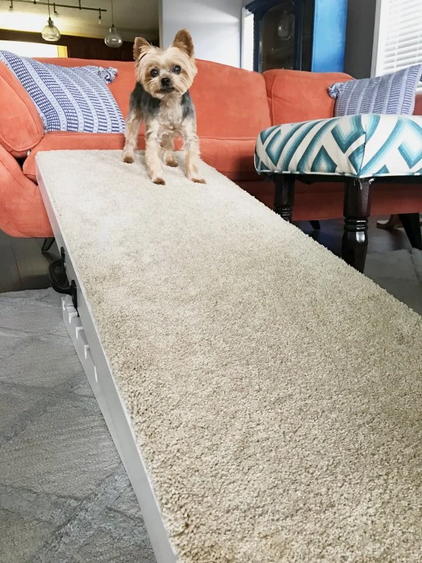 Make Your Own Adjustable Dog Ramp