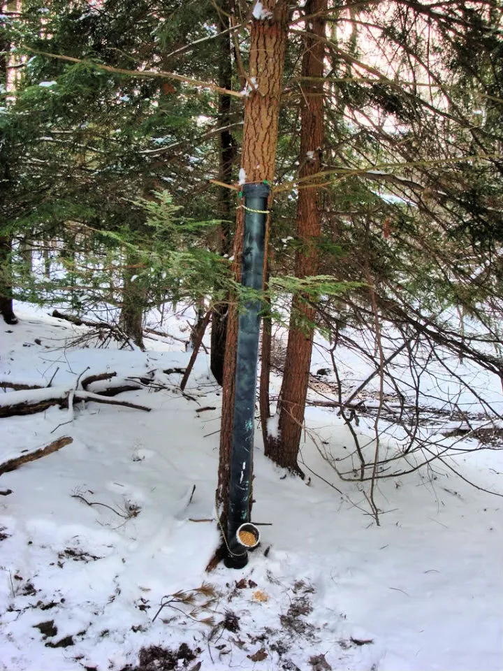 Make Your Own PVC Deer Feeder