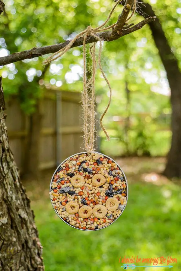 Mason Jar Lid Bird Feeder