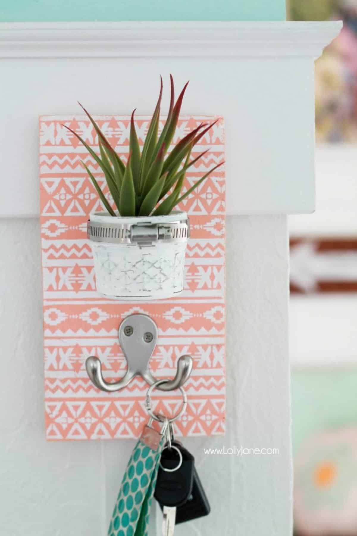 Mason Jar Succulent Key Organizer