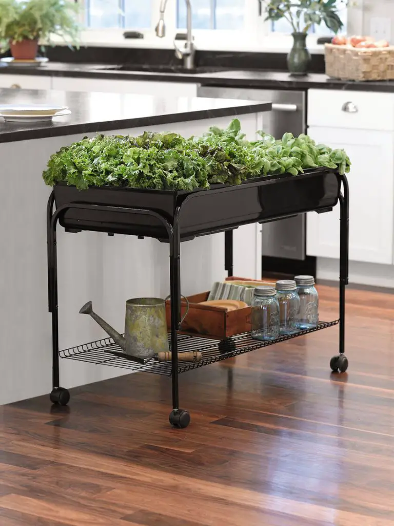 Mobile Salad Indoor Greenhouse