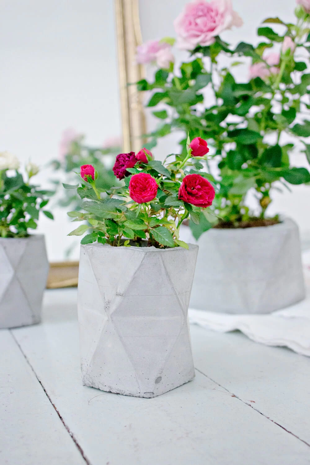 20 Modern DIY Concrete Planter Ideas for Your Home