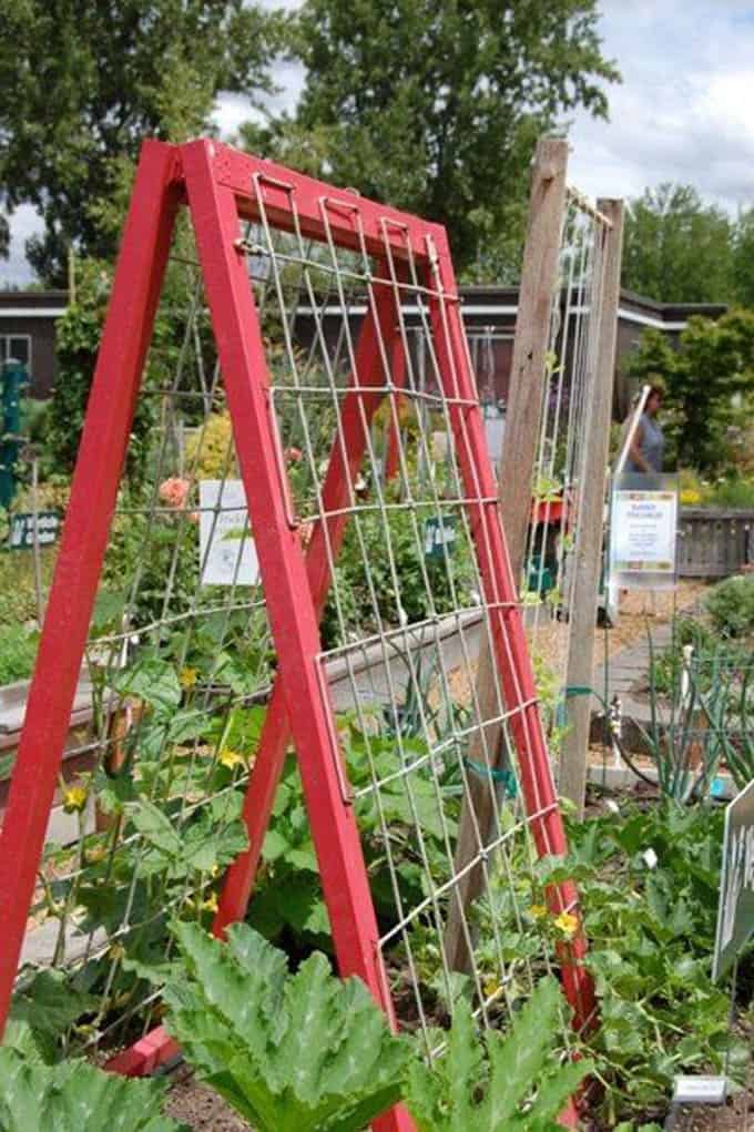 Painted Wood Trellis