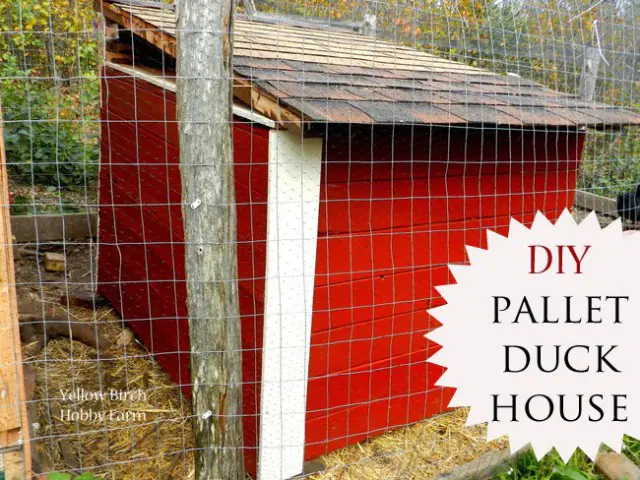 Pallet Duck House Plans