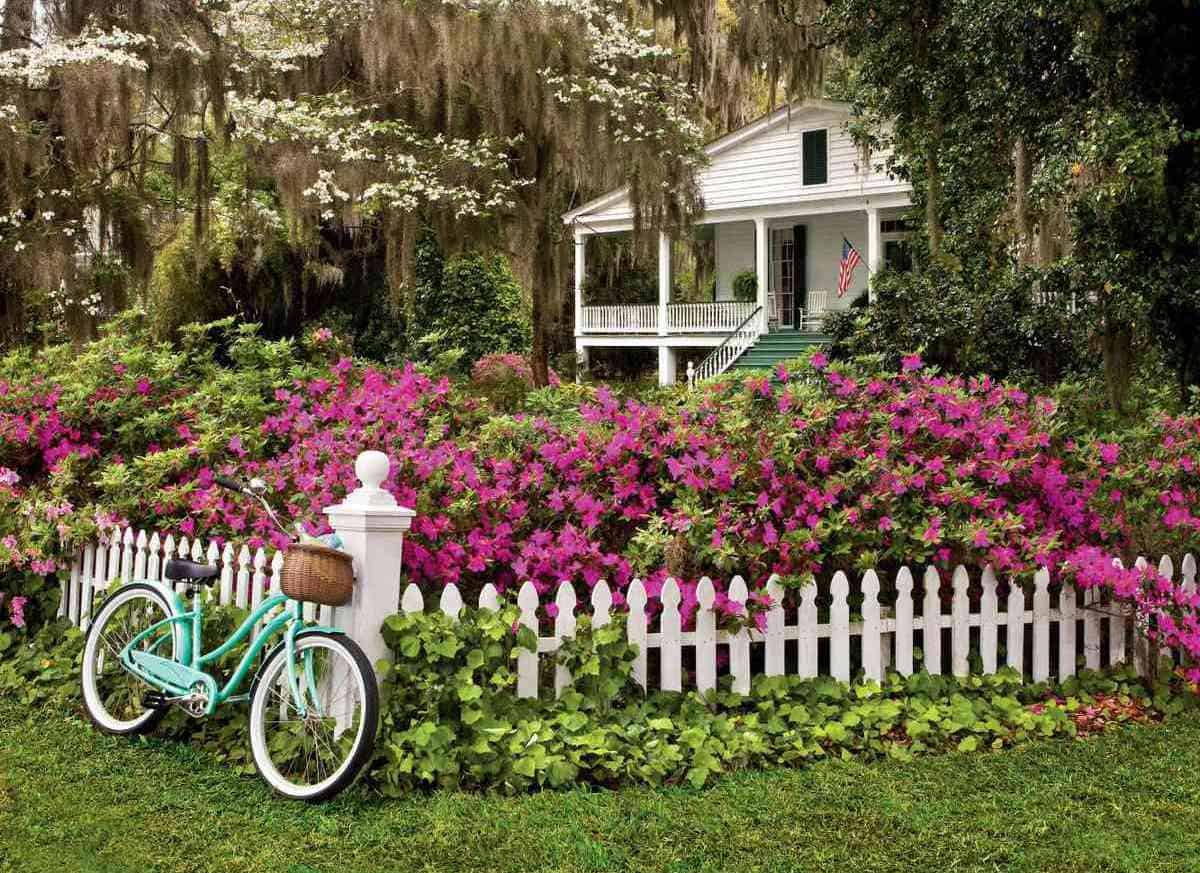 Pallet Fence & Colors