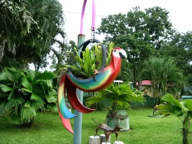 Parrot Tire Planter