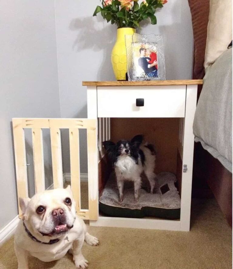 View of 39 Creative DIY Dog Crate Ideas for Comfort and Style