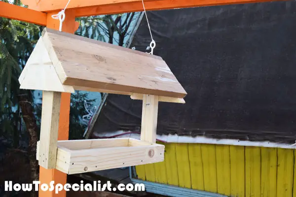 Platform Bird Feeder How To Specialist