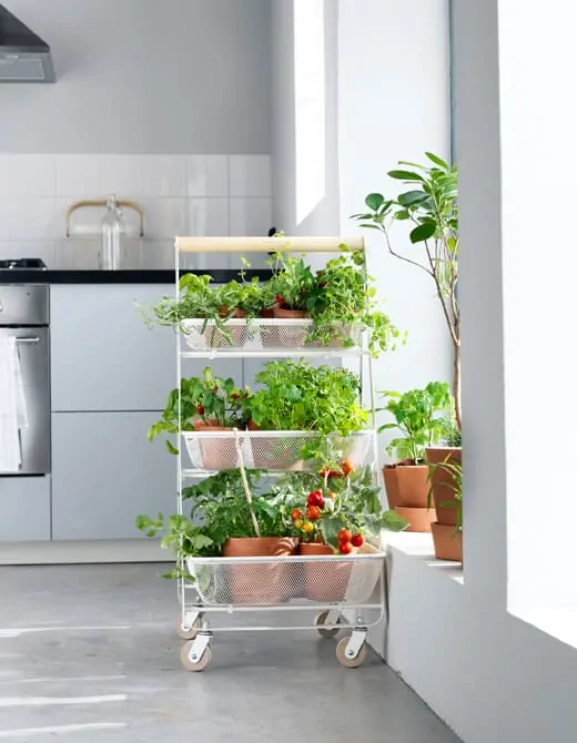 Portable Indoor Greenhouse