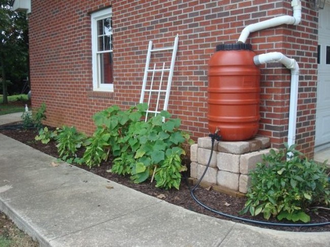 Rain Barrel Watering System