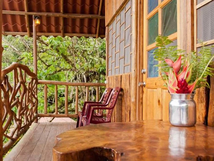 Rainforest Treehouse
