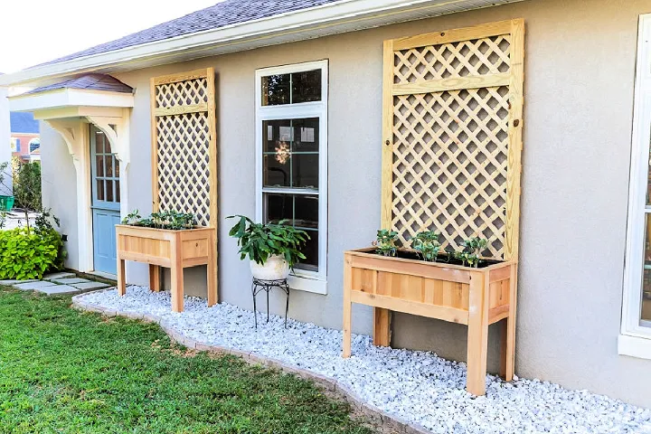 Raised Planter Box with Trellis
