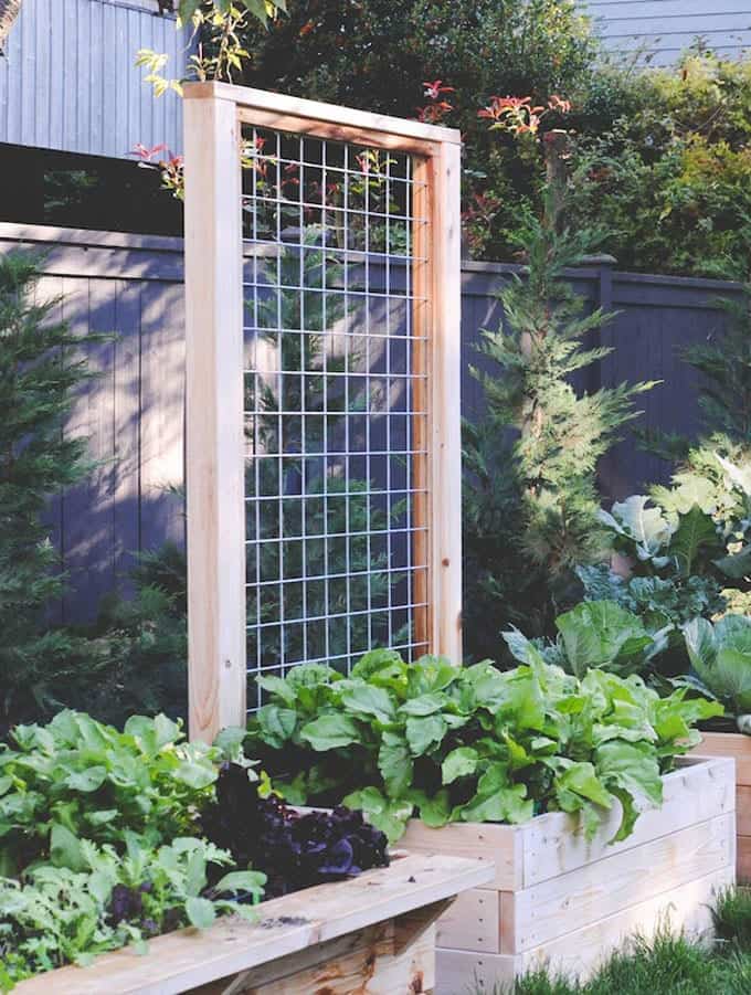  Raised Planter Trellis for Vegetables