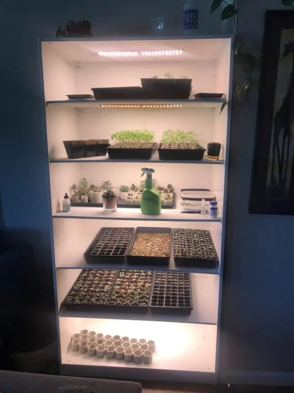 Recycled Cabinet Indoor Greenhouse