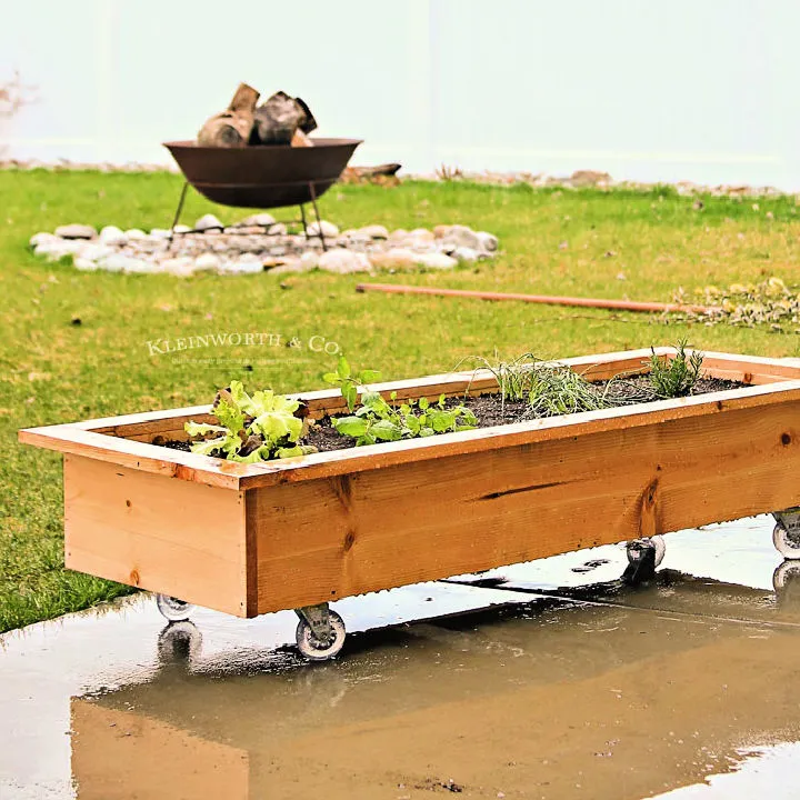 Rolling Raised Planter Box Design
