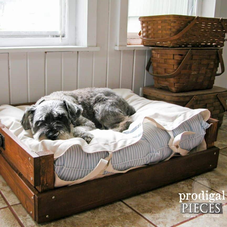 18 Cozy DIY Dog Bed Ideas & Plans for Your Furry Friend